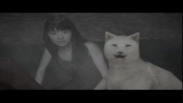 Локация Siren