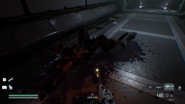 Игровой мир Species: Unknown