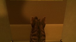 Локация Still It Runs