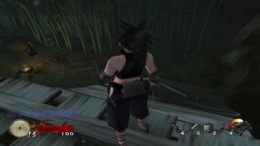 Игровой мир Tenchu - Wrath of Heaven