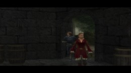 Скриншот игры The Lord of the Rings - The Third Age