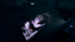   Waking Dreams