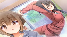 Wanting Wings на PC