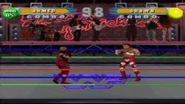  WWF in your house