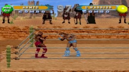 WWF in your house PS1