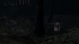 Геймплей Zero - Akai Chou