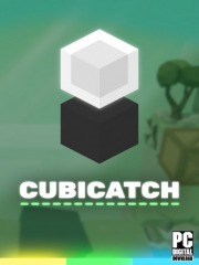 Cubicatch