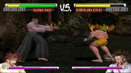 Fighting Fury  PlayStation 2