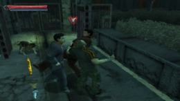   Final Fight Streetwise