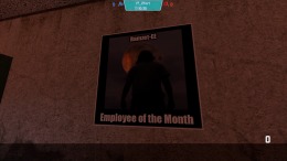 Fortress Forever  PC