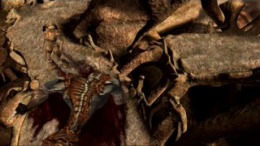 Kaena  PlayStation 2