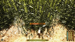   Medieval simulators: Baker