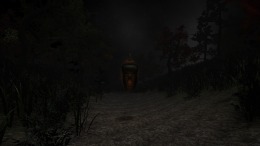 MITE - Terror in the forest  