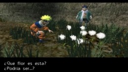 Naruto - Uzumaki Chronicles  PlayStation 2
