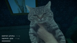   No, I'm not a Femboy