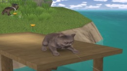  Petz - Catz 2