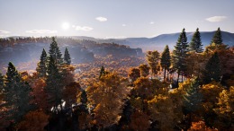 Prologue: Go Wayback!  