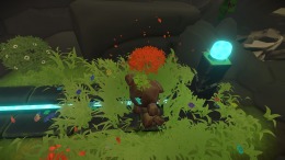   Unpetrified: Echoes of Nature