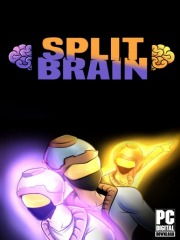 Split Brain
