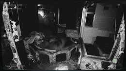 ������� ��� 2 -Japan Stigmatized Property