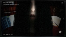 2 -Japan Stigmatized Property �����