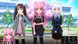 ������� BlackberryNOVA