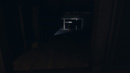 BLINK: The Last Night  PC