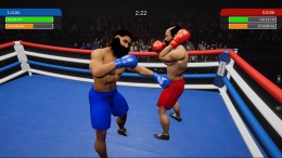 Boxing Simulator  PC