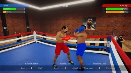   Boxing Simulator