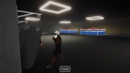   Boxing Simulator
