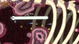 Cosmic Destroyer �����