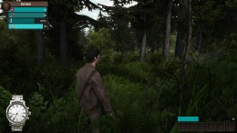 ������� Demesne