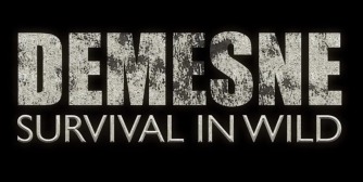 Demesne ������� ���������