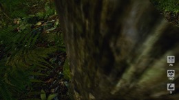 ������� ��� Demesne