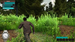 �������� Demesne