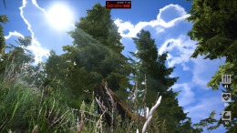 ������� Demesne