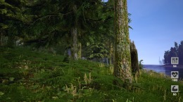 �������� ���� Demesne