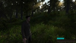 Demesne �����