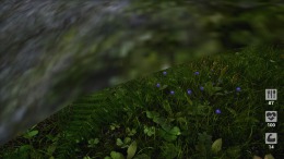 ����������� ���� Demesne