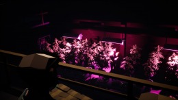 ������� Dubbing Time