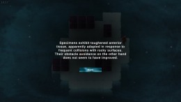 �������� ���� Headlong Hunt