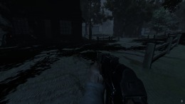 IRREVERSIBLE �����