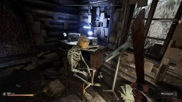 ����������� ���� PIONER