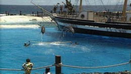  100 Manyen Quiz Hunter