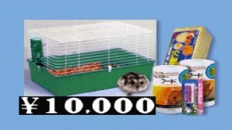   100 Manyen Quiz Hunter