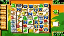 Animal Snap - Rescue them 2 by 2 