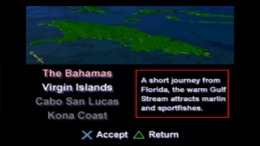   Black Bass with Blue Marlin