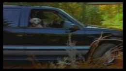 Black Bass with Blue Marlin PS1