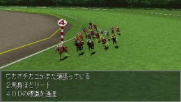 Breeding Stud 2 �����