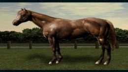 ����������� ���� Breeding Stud - Bokujou de aimashou